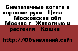 Симпатичные котята в хорошие руки › Цена ­ 10 - Московская обл., Москва г. Животные и растения » Кошки   